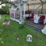 IMG_20220612_210449-1.jpg